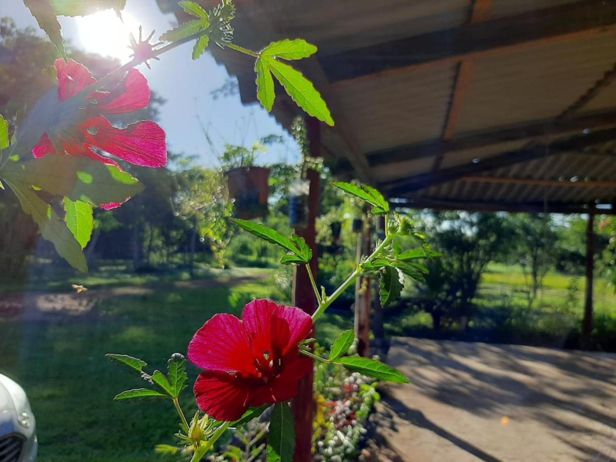 Chacara Dos Lagos Homestay Riachao (Maranhao)