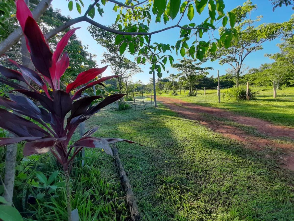 Chacara Dos Lagos Riachao (Maranhao)