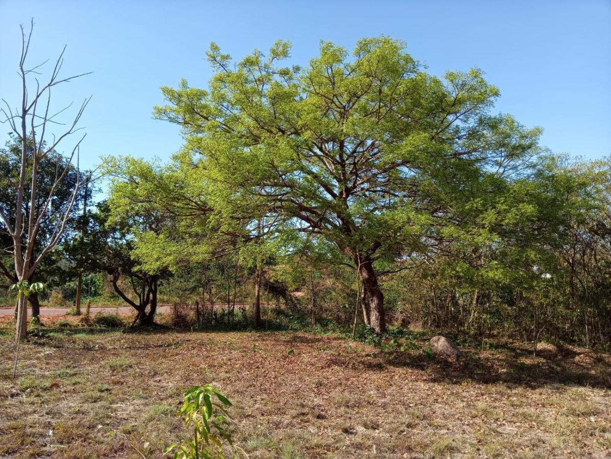Homestay Chacara Dos Lagos Riachao (Maranhao)
