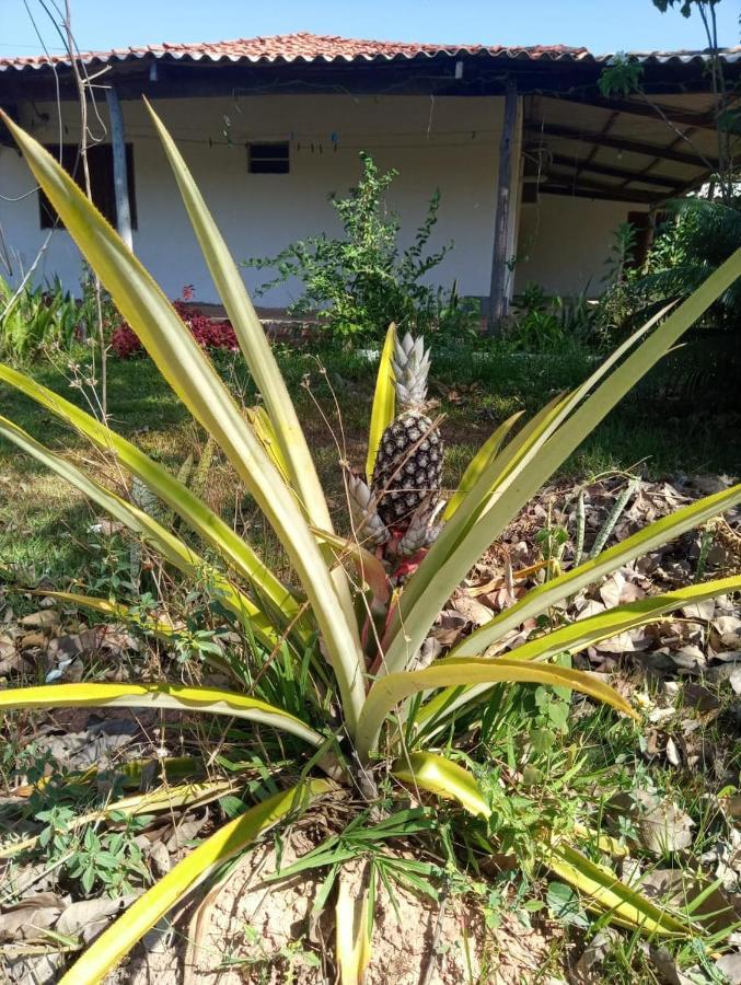 Chacara Dos Lagos * Riachao (Maranhao)
