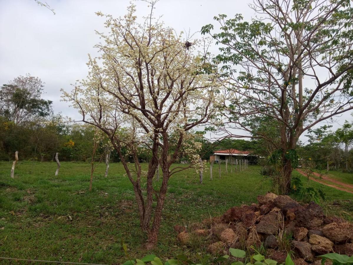 Homestay Chacara Dos Lagos *