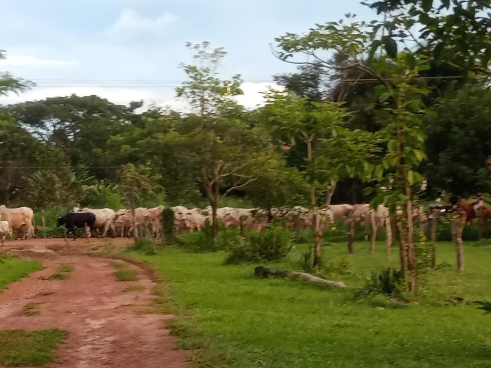Homestay Chacara Dos Lagos