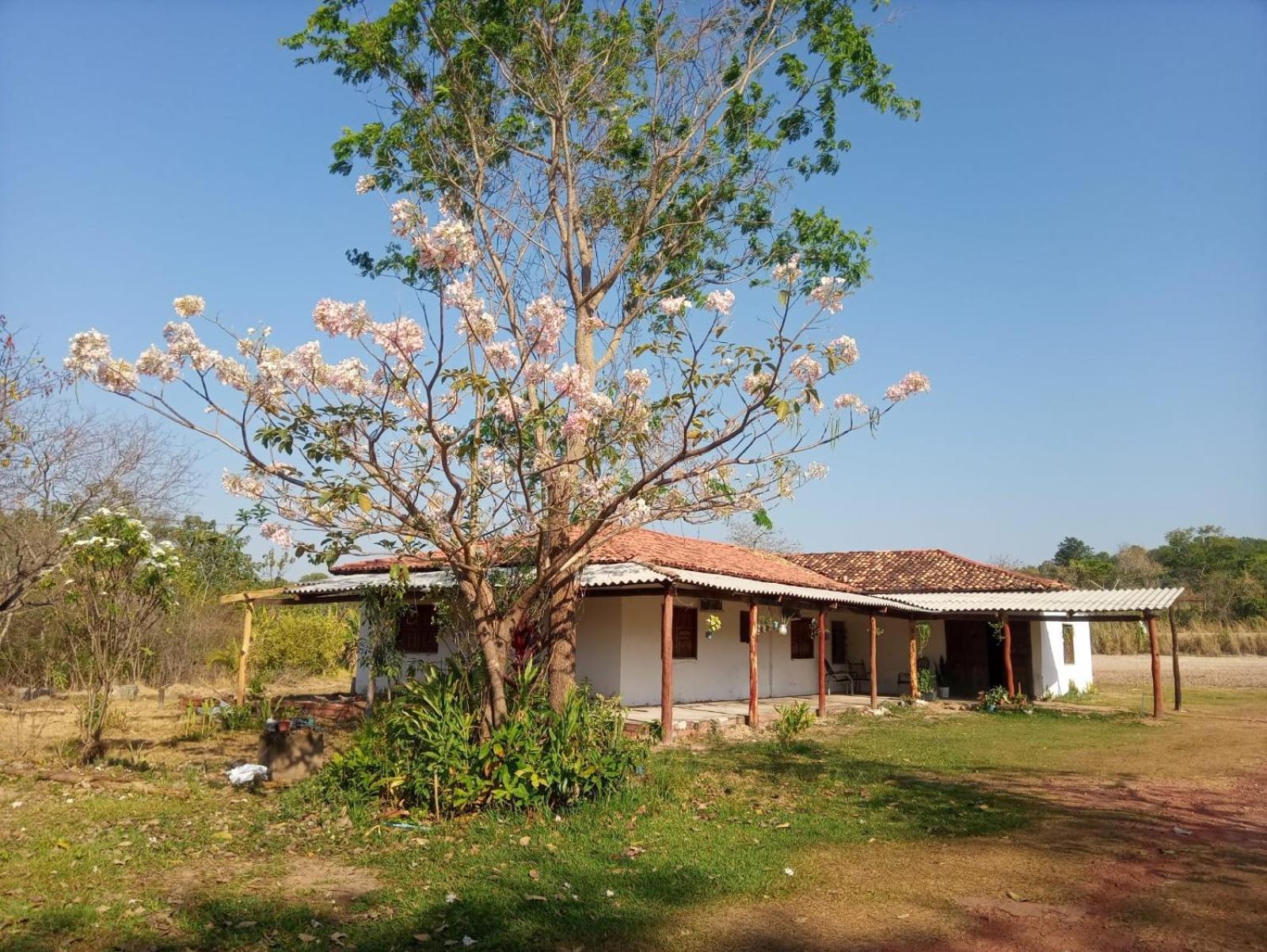 Chacara Dos Lagos * Riachao (Maranhao)
